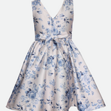 Bianca Toile Print Party Dress