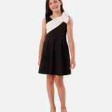 Natalie Skater Sash Dress