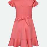 Clementine Side Ruffle Skater Dress