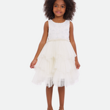 Celia Embroidered Party Dress