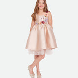 Lola Floral Applique Party Dress